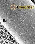 Image result for Nanometer Compared to Human Hair