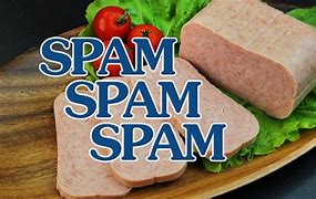 Image result for Spam Plate
