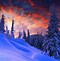 Image result for Cozy Wallpaper 4K Sharp