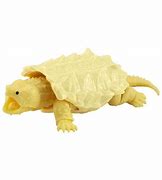 Image result for Snapping Turtle Toy