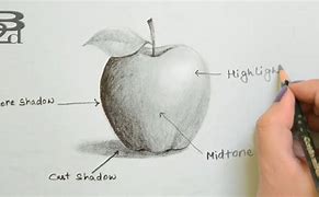 Image result for How to Shade an Apple When Drawing