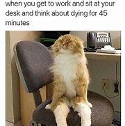 Image result for Ready to Work Meme Cat