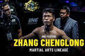 Image result for co_oznacza_zhang_chenglong
