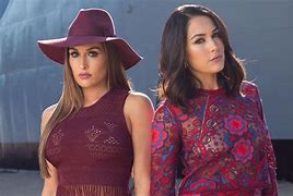 Image result for The Bella Twins Total Bellas