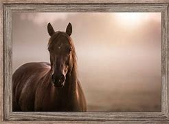 Image result for English Horse Art Framed