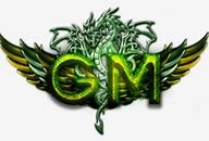 Image result for Metin2 GM Logo