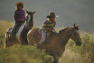Image result for Kids Riding Horse Toy