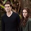 Image result for Breaking Dawn Movie