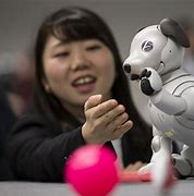 Image result for Aibo China