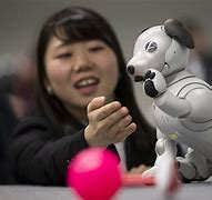 Image result for What Does Aibo Do