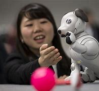 Image result for Aibo Robot Dog Working