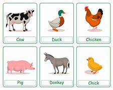 Image result for Boardmaker Basic Pets Farm Animals Zoo Flash Cards 112