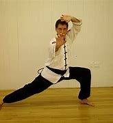 Image result for Kung Fu Sub-Styles