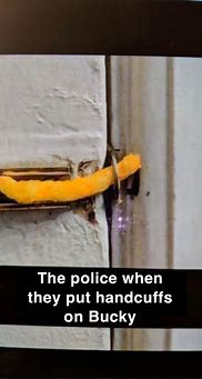 Image result for Cheato in a Door Lock Meme
