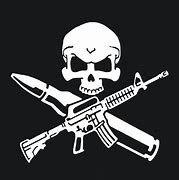 Image result for Skull and Guns