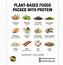 Image result for Plant-Based Protein Brand T3