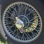 Image result for Chrome Steel Wheels