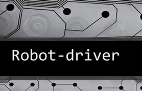 Image result for Robot Driver D
