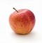 Image result for Apple Fruit Jpg