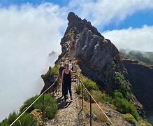 Image result for aootr�pico