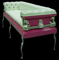 Image result for elviras coffin couches