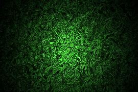 Image result for Champagne Gold and Hunter Green Wallpaper