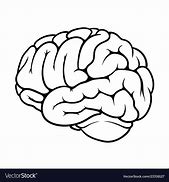 Image result for Brain Labeled Black and White