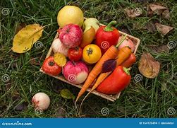 Image result for Fruit Basket Grass