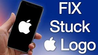 Image result for iPhone Stuck On Apple Logo After Downgrade