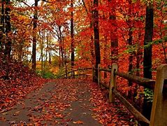 Image result for Autumn Backgrounds Full Screen