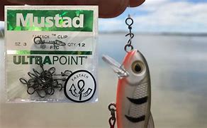 Image result for Mustard Fishing Clip