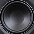 Image result for Speaker Cone Cut Out