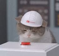 Image result for Cat Pressing Button