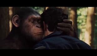 Image result for Planet Apes Meme