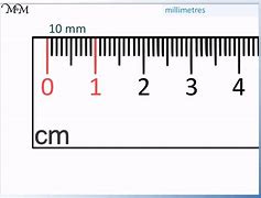 Image result for How Big Is 1 Centimeter
