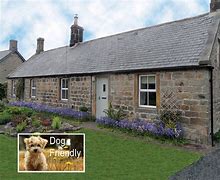Image result for Dog Friendly Cottages Northumberland