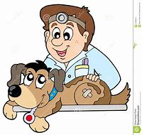 Image result for Veterinary Clip Art