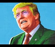 Image result for Donald Trump ID Card