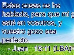 Image result for Juan 15:11