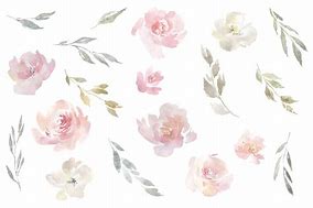 Image result for Blush Pink Watercolor