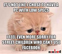 Image result for Sad Cat On Computer Meme