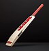 Image result for Small Cricket Bat