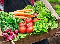 Image result for Sustainale Food