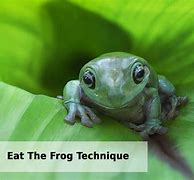 Image result for Eat the Frog