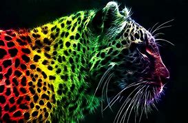 Image result for Colorful Cheetah Print Background