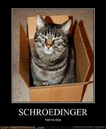 Image result for Schrodinger's Cat Meme