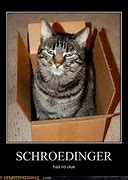 Image result for Schrodinger's Cat Meme