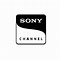 Image result for Sony Channel Russia Logo.png