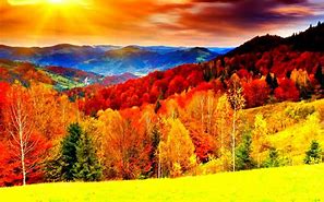 Image result for Colorful Photos