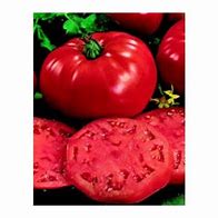Image result for Heirloom Beefsteak Tomatoes